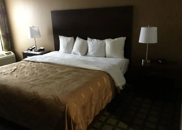 Inn Quality Arcola